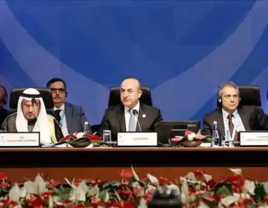 قمة في اسطنبول لإصلاح النظام الإنساني العالمي