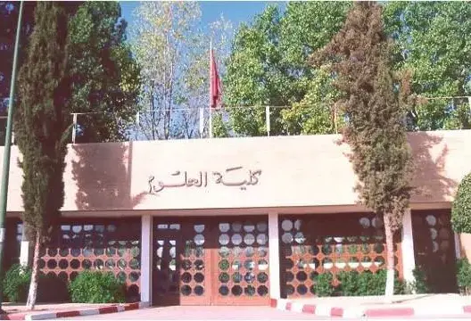 عناصر “البرنامج المرحلي” تحلق شعر عاملة وحاجبيها في جامعة مكناس