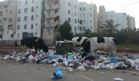 منظمة الصحة تصنف 6 مدن مغربية كأكثر المدن تلوثا