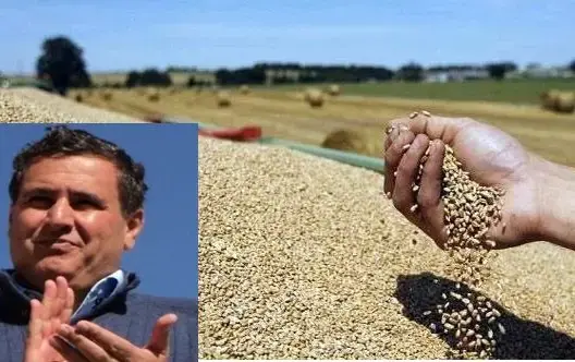تسجيل إنتاج ضعيف للحبوب وأخنوش يلقي التهمة على الأمطار
