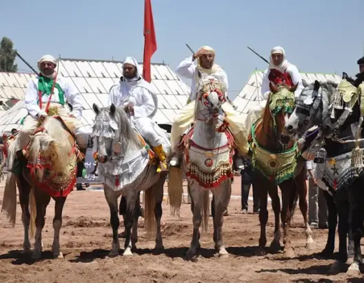 بني ملال تحتضن المباريات بين الجهات لفنون الفروسية ” التبوريدة”