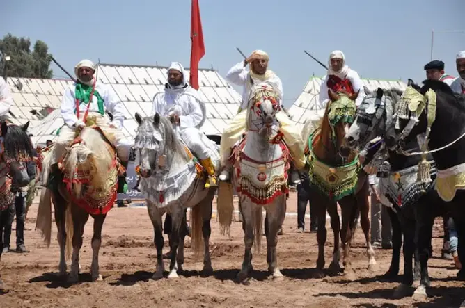 بني ملال تحتضن المباريات بين الجهات لفنون الفروسية ” التبوريدة”