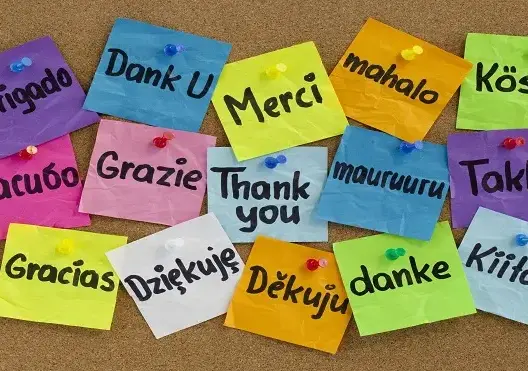 هل ترغب في تعلُّم 11 لغة.. إليك الطريقة