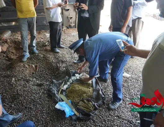 أكادير: حجز 3 أطنان من الغزوال المهرب من الصحراء