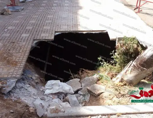 فضيحة.. نخلة تكشف حفرة ضخمة تحت رصيف بالرباط
