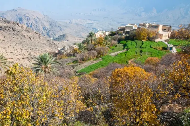 معطيات تفند خبر صيام 3 ساعات في قرية بسلطة عمان