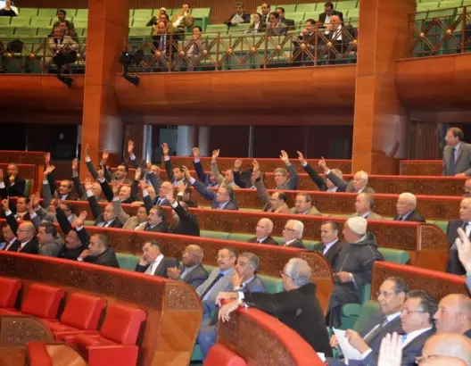 المصادقة على قانونين يؤطران العرائض المقدمة للسلطات العمومية