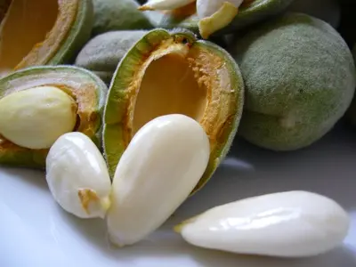 فوائد اللوز الأخضر