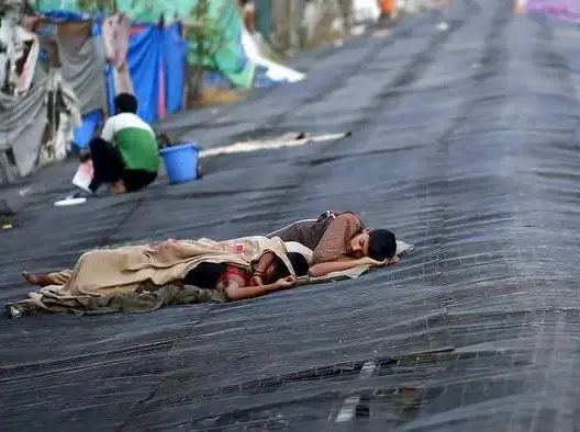 الحرارة المرتفعة تقتل 14 شخصا في الجزائر
