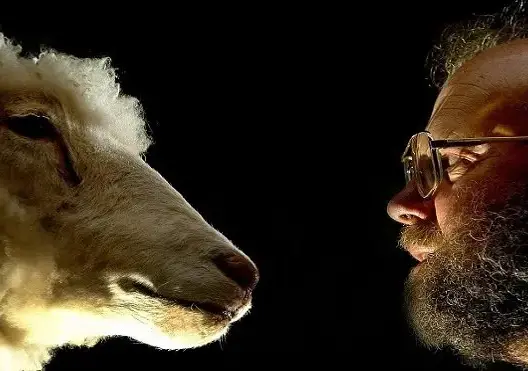 الذكرى الـ20 لاستنساخ النعجة دوللي أول حيوان مستنسخ في التاريخ
