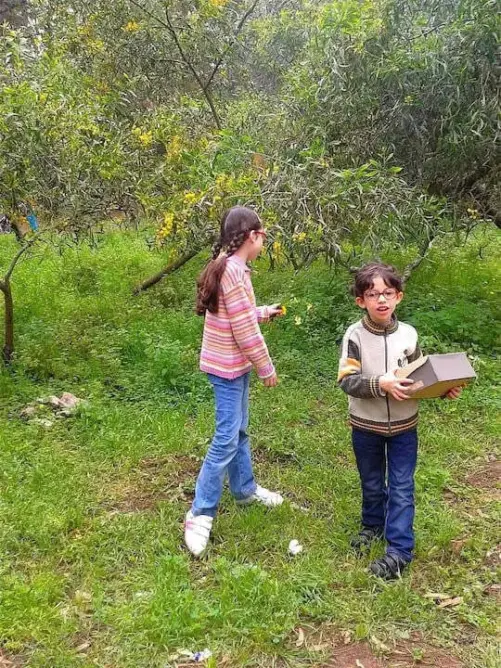 نزهة في الطبيعة تزيل الاكتئاب