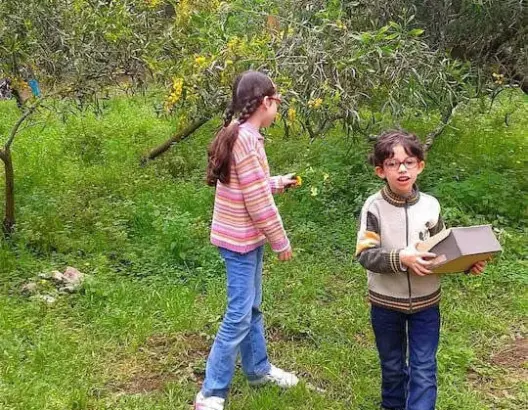 نزهة في الطبيعة تزيل الاكتئاب
