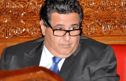بعد موسم جيد .. وزارة أخنوش تنهي فترة صيد الأخطبوط