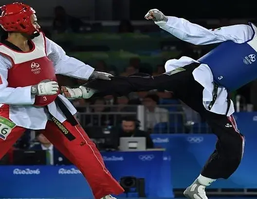 المغربي حجامي يطيح ببطل العالم في التايكواندو ويعبر للربع بـ”ريو”