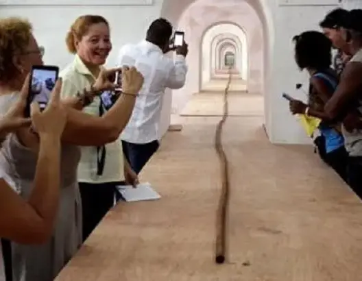 هدية غريبة لفيديل كاسترو في عيد ميلاده التسعين