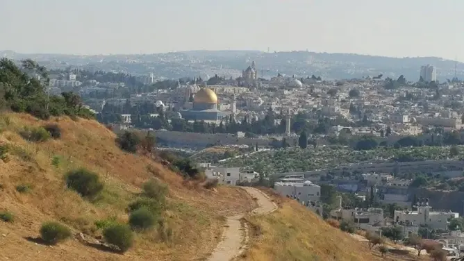 الاحتلال يعتقل 20 فلسطينيا من القدس