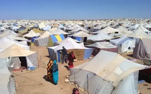 “أمنيستي” تطالب المغرب بإطلاق سراح معتقلي “اكديم إيزيك”