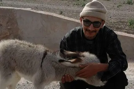 بعد محاولة قتله.. كاتب رواية “جزيرة الذكور” يوضع في السجن