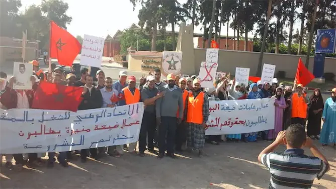 تارودانت: عمالٌ بضيعة “مولاي هشام” يحتجون ضد طردهم