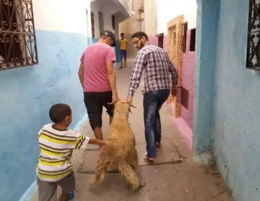 سلطات إنزكان تمنع توزيع لحوم العيد على الأسر الفقيرة