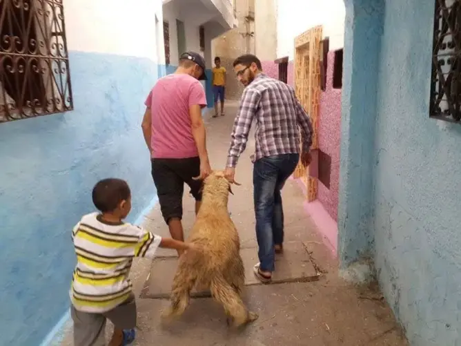 سلطات إنزكان تمنع توزيع لحوم العيد على الأسر الفقيرة