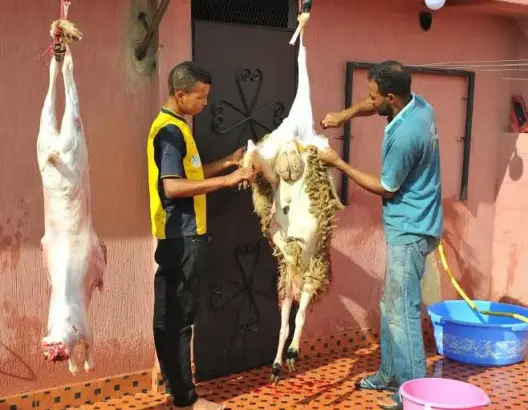 بالصور.. هكذا مرت أجواء عيد الأضحى بالرباط