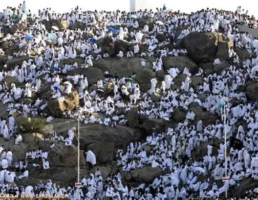 في أكبر تجمع في العالم.. مليونا حاج يقفون في عرفة لأداء ركن الحج الأعظم