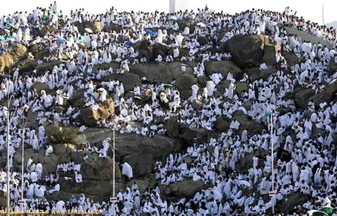 في أكبر تجمع في العالم.. مليونا حاج يقفون في عرفة لأداء ركن الحج الأعظم