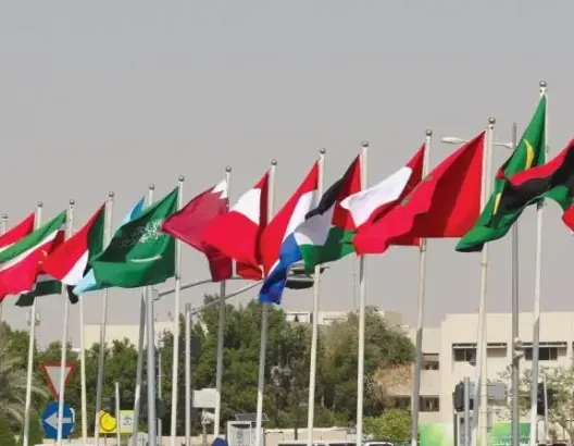 خبير: السعودية تطمح لإقامة خلافة إسلامية من المغرب إلى روسيا