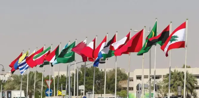 خبير: السعودية تطمح لإقامة خلافة إسلامية من المغرب إلى روسيا