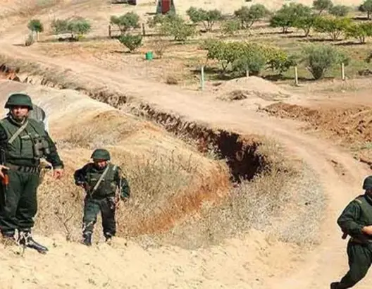 محلل فرنسي: المغرب وجه ضربة قوية لتجار المخدرات بمخيمات “البوليساريو”