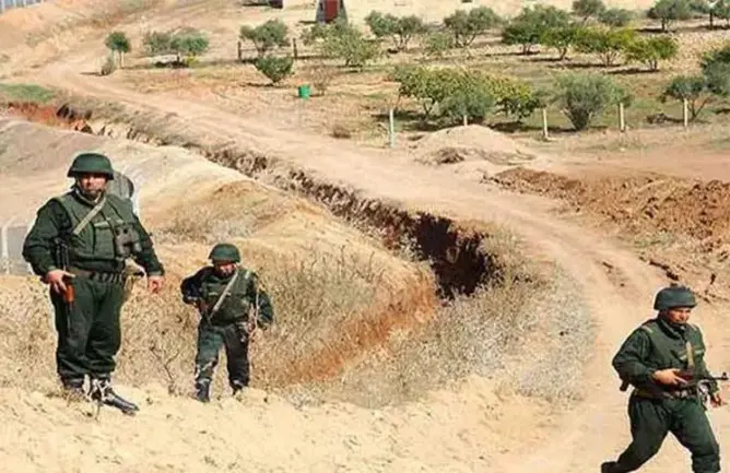 محلل فرنسي: المغرب وجه ضربة قوية لتجار المخدرات بمخيمات “البوليساريو”