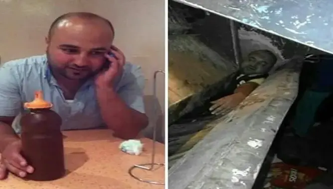 عندما استباحت الحيتان كرامة بائع السمك‎