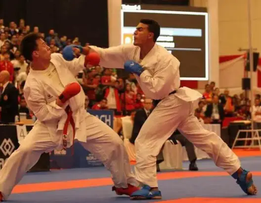 أوشن يفوز بميدالية فضية في بطولة العالم للكراطي بالنمسا