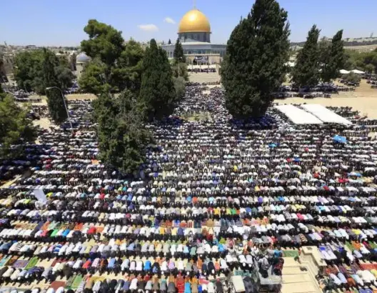 مساهمة إيطالية بمبلغ 3 ملايين أورو لدعم فلسطين