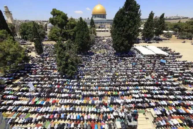 مساهمة إيطالية بمبلغ 3 ملايين أورو لدعم فلسطين
