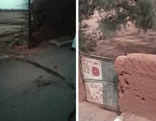مراكشيون متذمرون من روائح بهائم ضيعة يملكها جنرال عسكري