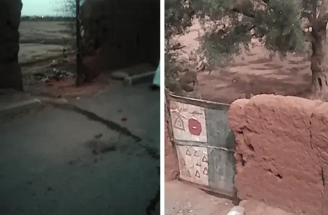 مراكشيون متذمرون من روائح بهائم ضيعة يملكها جنرال عسكري