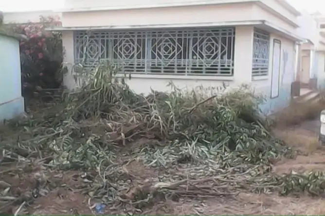 مطالبٌ بالتحقيق في “مجزرة بيئية” بمدرسة عمومية في الناظور