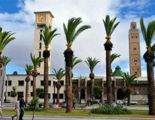 لقاء بوجدة يبحث سبل إرساء عدالة مناخية