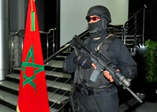 الداخلية: تفكيك خلية إرهابية من 10 فتيات ينشطن بـ10 مدن