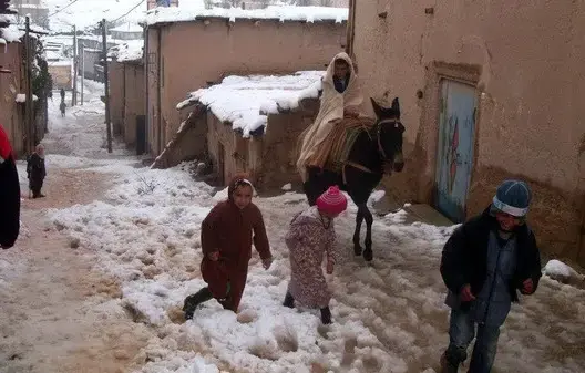 السنوسي: هل تحول المغرب إلى شعب من اللاجئين؟