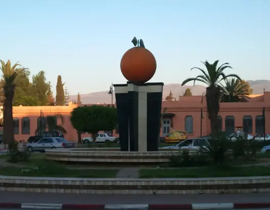 وتعفنت البرتقالة
