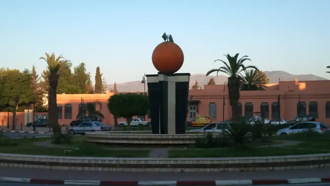 وتعفنت البرتقالة