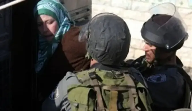 قوات الاحتلال تعتقل تسعة فلسطينيين في الضفة