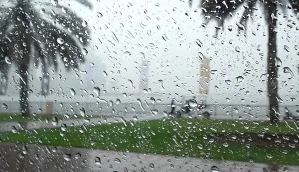 ضباب وقطرات مطرية ببعض المناطق اليوم الثلاثاء
