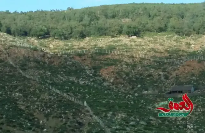 رئيس جماعة من “بام” يسطو على أراضي سلالية ويبيعها لشركته