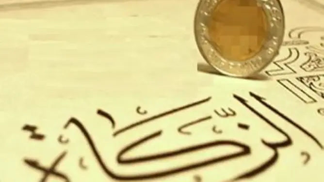 عضو المجلس الدستوري يرد على مبررات التعطيل الرسمي للزكاة