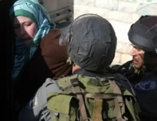 الاحتلال اعتقل 527 فلسطينيا خلال نوفمبر الماضي