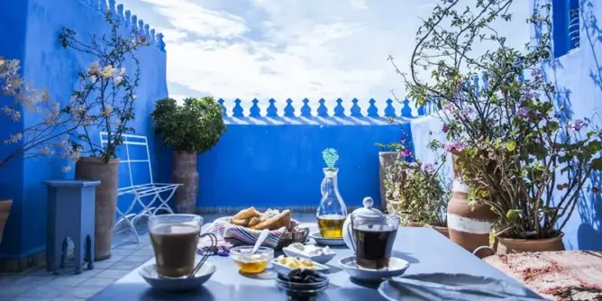 مدونة هولندية تكشف بماذا يتميز المغرب عن باقي دول العالم